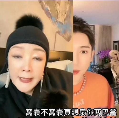 张兰爆料三胎视频播放,揭秘豪门育儿日常